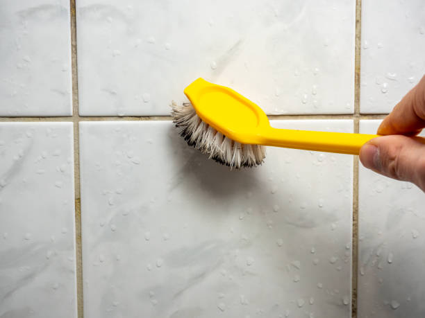 Mold Removal Process in Oak Lawn, IL