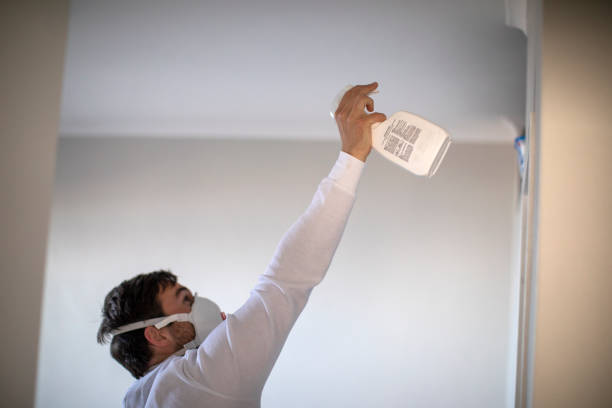Best Mold Cleaning Services  in Oak Lawn, IL