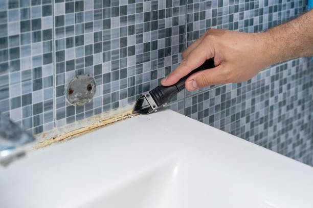 Best Local Mold Removal Service  in Oak Lawn, IL